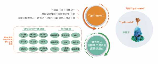 三叶草生物-B现涨近6% 公司加速推动SCB-1019疫苗开发