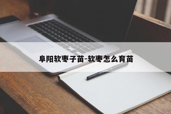 阜阳软枣子苗-软枣怎么育苗