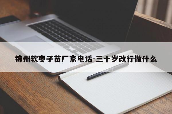 锦州软枣子苗厂家电话-三十岁改行做什么