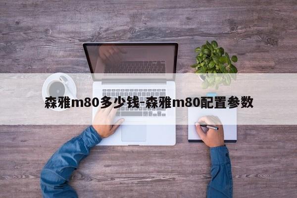 森雅m80多少钱-森雅m80配置参数