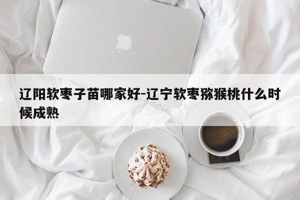 辽阳软枣子苗哪家好-辽宁软枣猕猴桃什么时候成熟