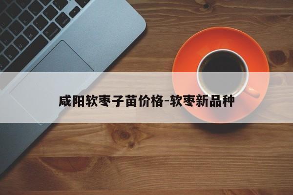 咸阳软枣子苗价格-软枣新品种