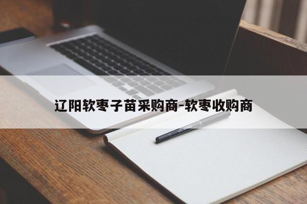 辽阳软枣子苗采购商-软枣收购商