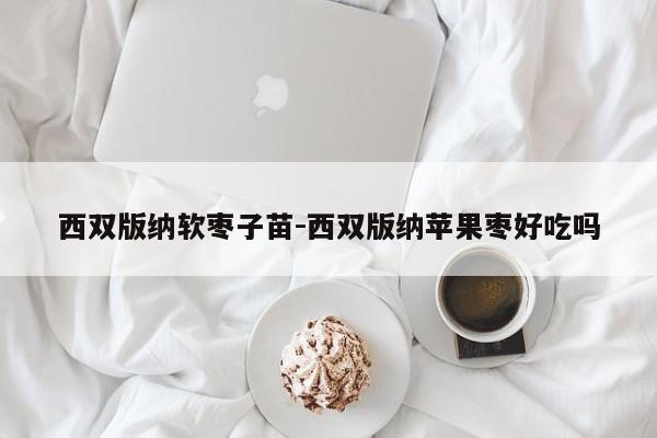 西双版纳软枣子苗-西双版纳苹果枣好吃吗