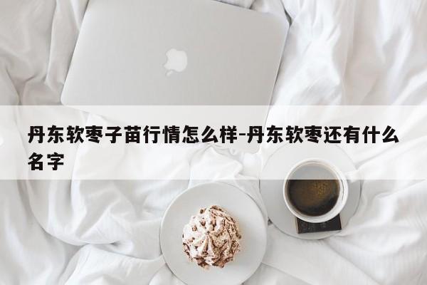 丹东软枣子苗行情怎么样-丹东软枣还有什么名字