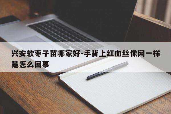 兴安软枣子苗哪家好-手背上红血丝像网一样是怎么回事