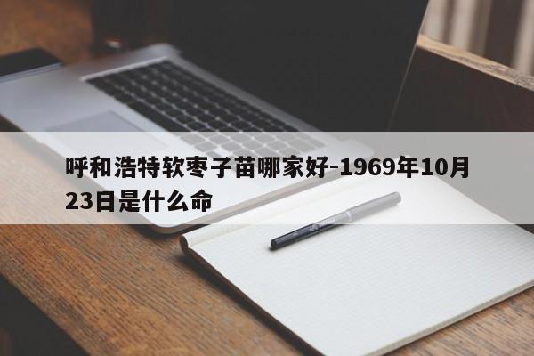 呼和浩特软枣子苗哪家好-1969年10月23日是什么命