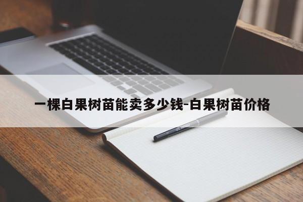 一棵白果树苗能卖多少钱-白果树苗价格