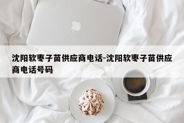 沈阳软枣子苗供应商电话-沈阳软枣子苗供应商电话号码